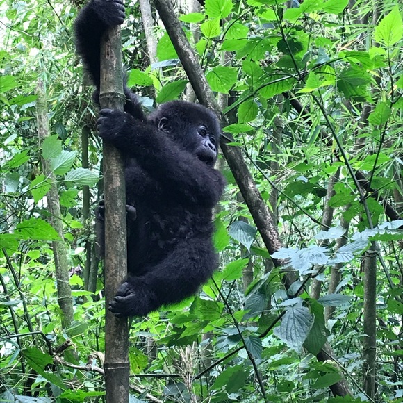 Meet your Posher, Gail - Picture 2 of 2